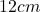 12 cm