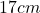 17 cm