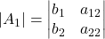 \displaystyle |A_1| = \begin{vmatrix}b_1 & a_{12} \\b_2 & a_{22}\end{vmatrix}