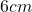 6 cm