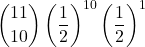 \displaystyle {11 \choose 10}\left(\frac{1}{2}\right)^{10}\left(\frac{1}{2}\right)^1