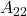 A_{22}