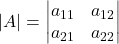 \displaystyle |A| = \begin{vmatrix}a_{11} & a_{12}\\a_{21} & a_{22} \end{vmatrix}