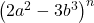\left(2a^2-3b^3 \right)^n
