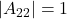 \displaystyle |A_{22}| = 1