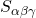 S_{\alpha\beta\gamma}