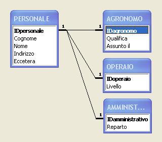 2003_fioreria2