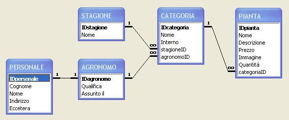 2003_fioreria3
